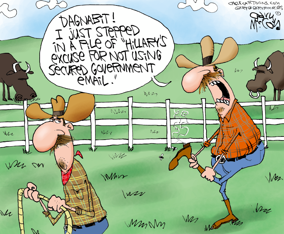Hillary's BS Excuse COLOR