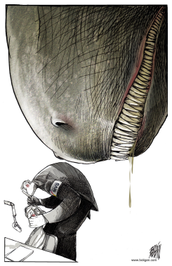 CONFLICTO ENTRE PARTICULARES / by Angel Boligan