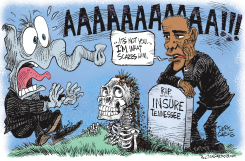RESURRECTING INSURE TENNESSEE  by Daryl Cagle