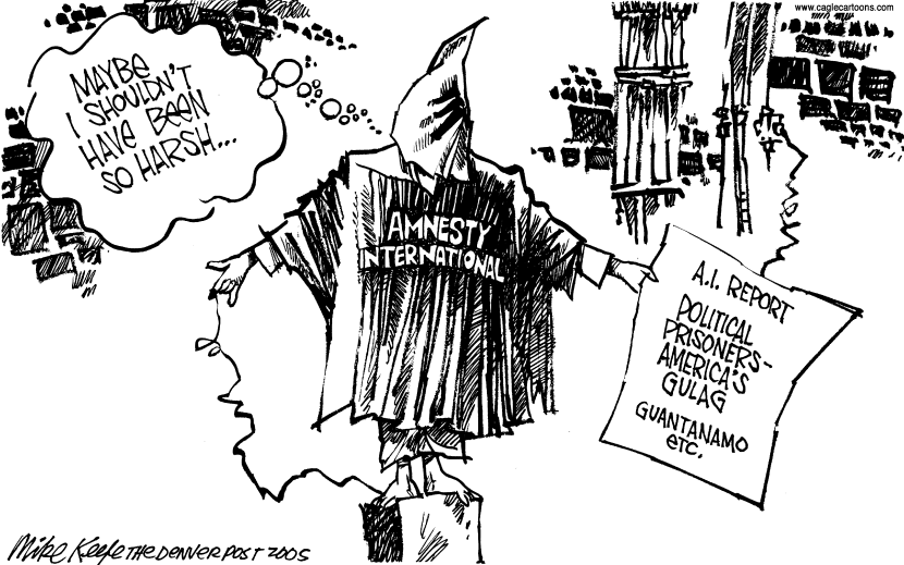Amnesty International Report