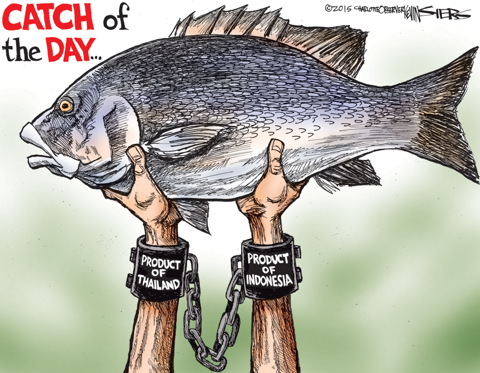 Catch of the Day
