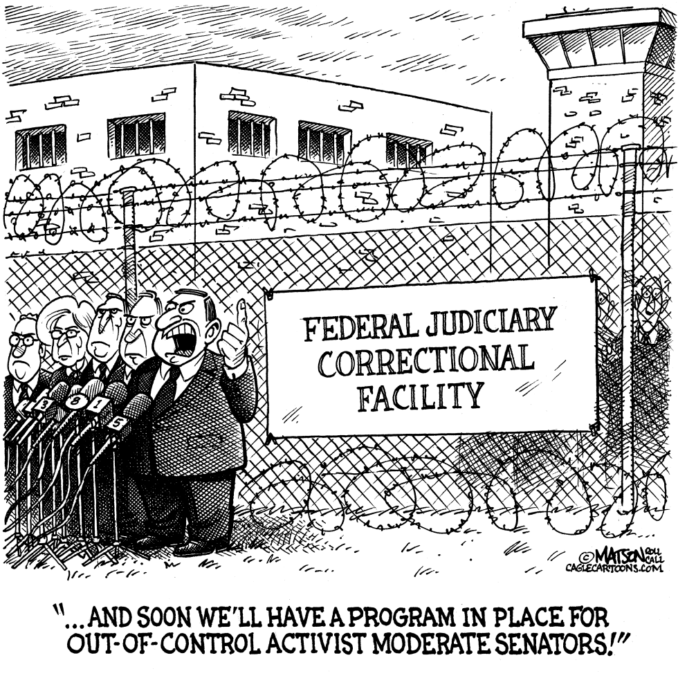Judicial Corrections