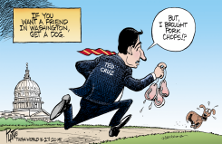 A FRIEND FOR CRUZ by Bruce Plante