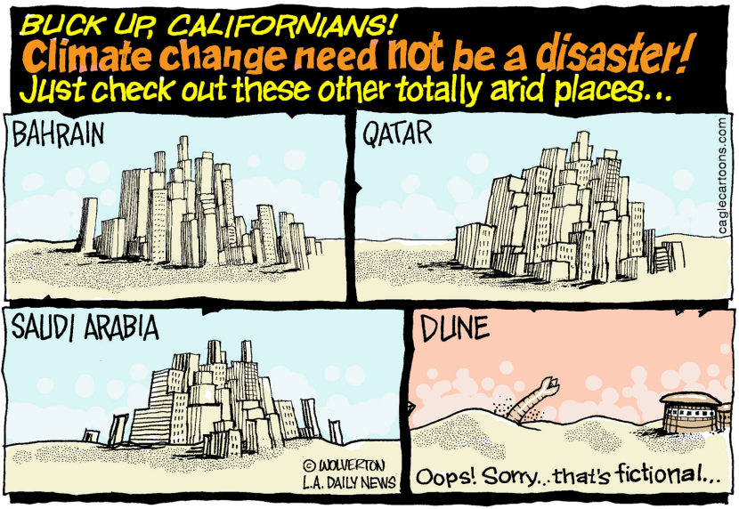 LOCAL-CA Liking Arid COLOR