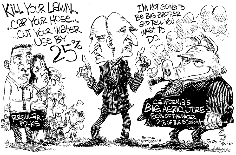 Two Faced Jerry Brown