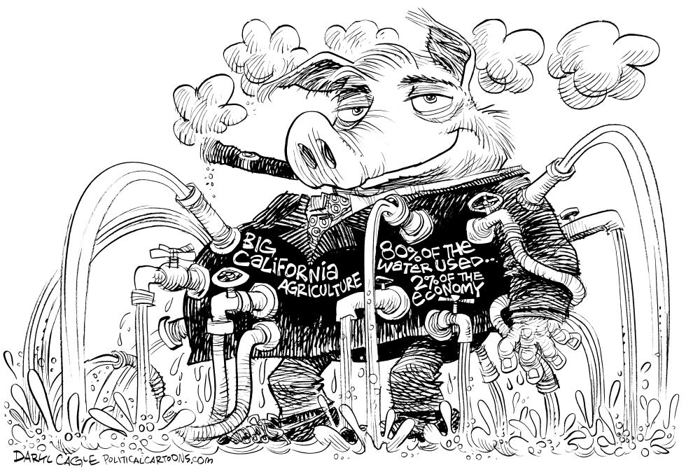 California Agriculture Water Hog