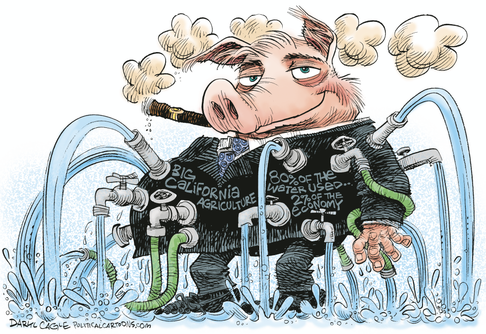 California Agriculture Water Hog COLOR