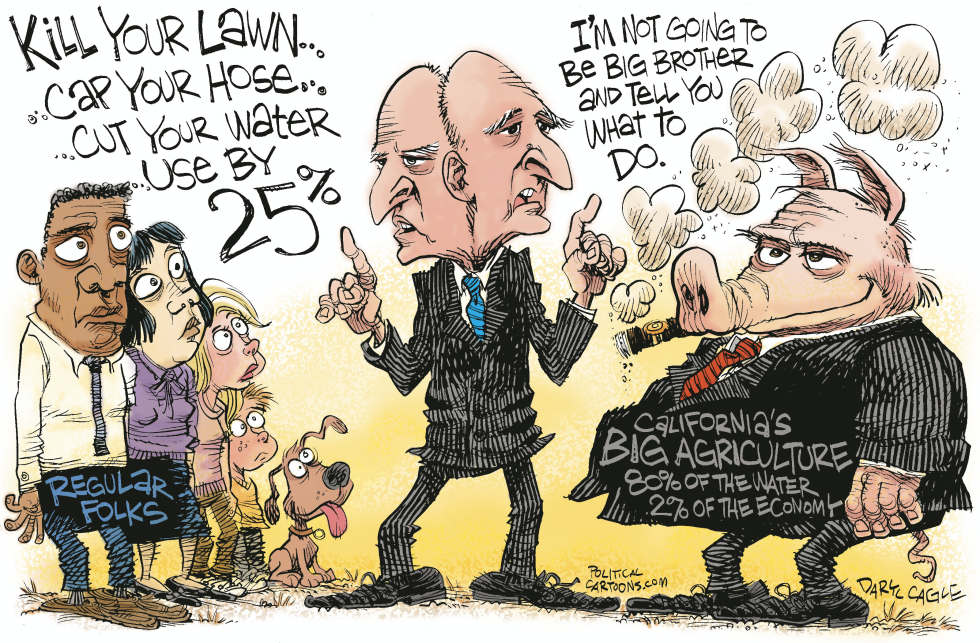 Two Faced Jerry Brown COLOR