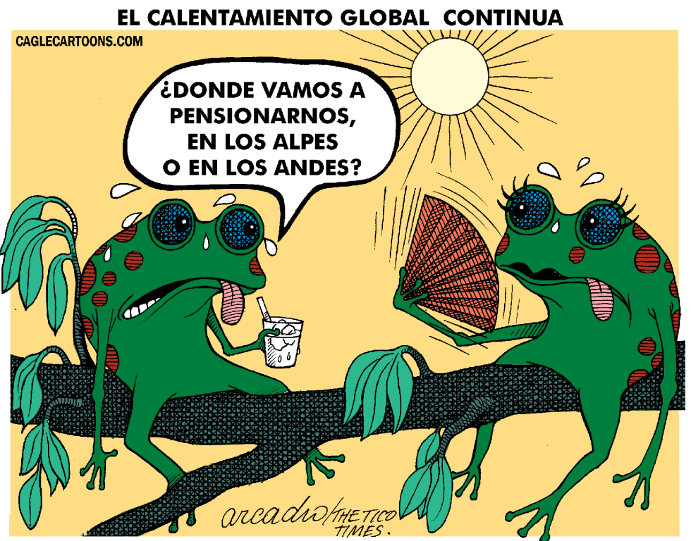 Ranas víctimas del calentamiento