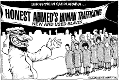 SAUDI SLAVERY by Monte Wolverton