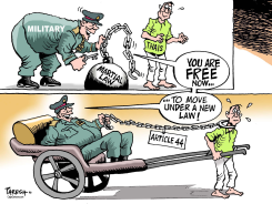 THAILAND'S NEW LAW  by Paresh Nath