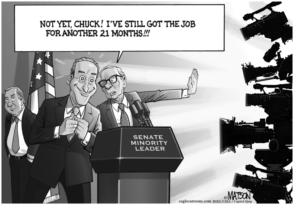 Senator Schumer is Ready for Democratic Leader Spotlight