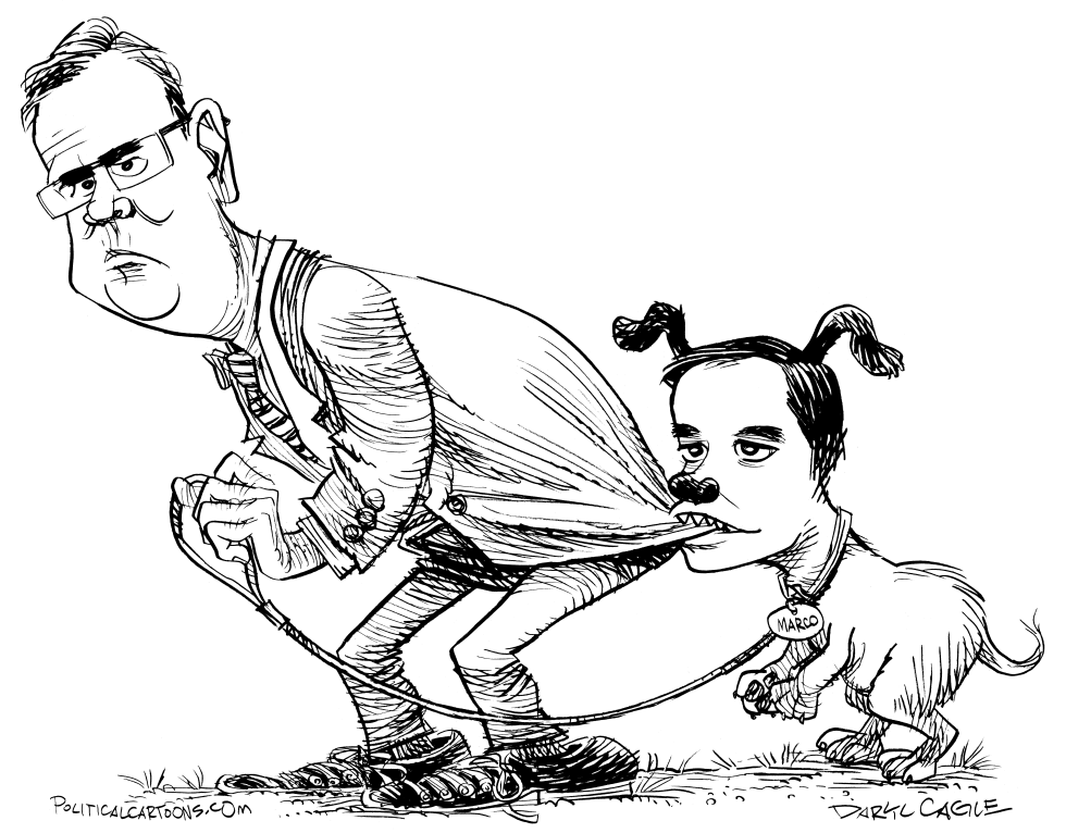  JEB BUSH Y MARCO RUBIO by Daryl Cagle