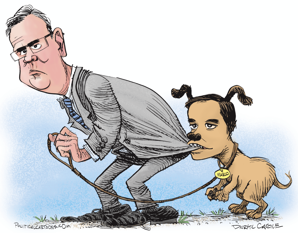  JEB BUSH Y MARCO RUBIO  by Daryl Cagle