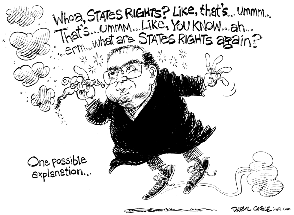  SUPREME COURT MARIJUANA by Daryl Cagle