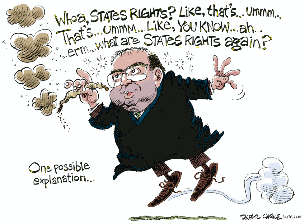  SUPREME COURT MARIJUANA  by Daryl Cagle