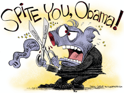 FLORIDA MEDICAID EXPANSION  by Daryl Cagle