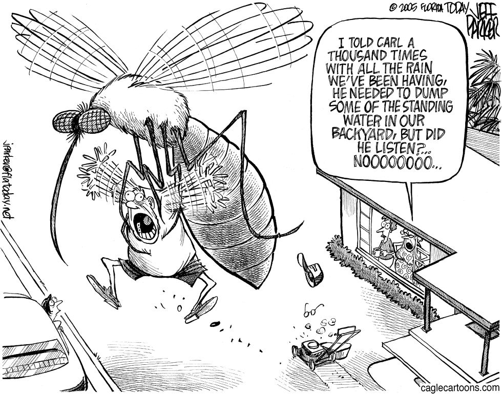 LOCAL FL Mosquito Raptors