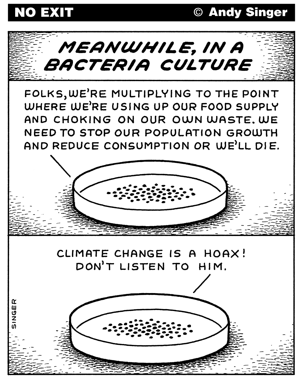 Meanwhile in a Bacteria Culture