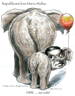 MARCO RUBIO -  by Taylor Jones
