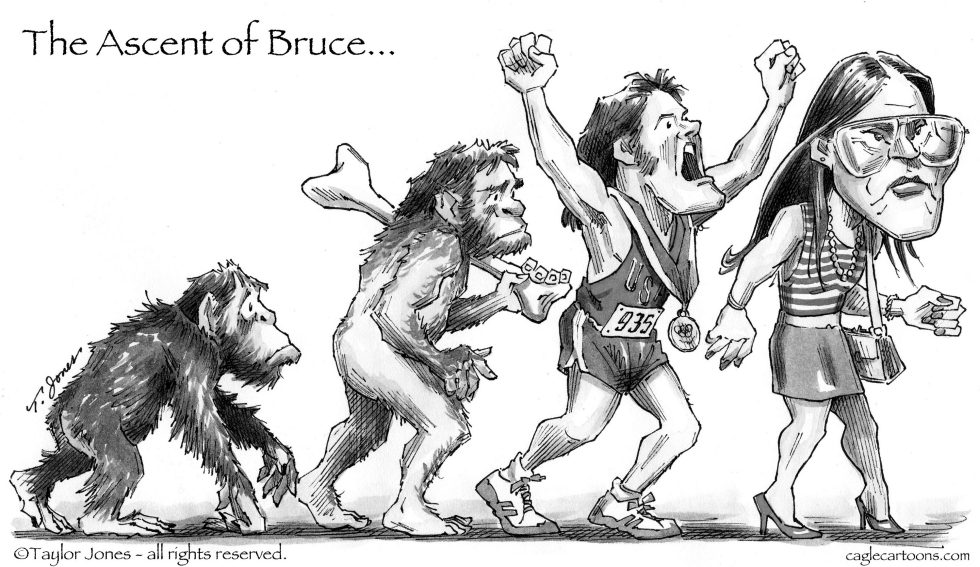 The Ascent of Bruce
