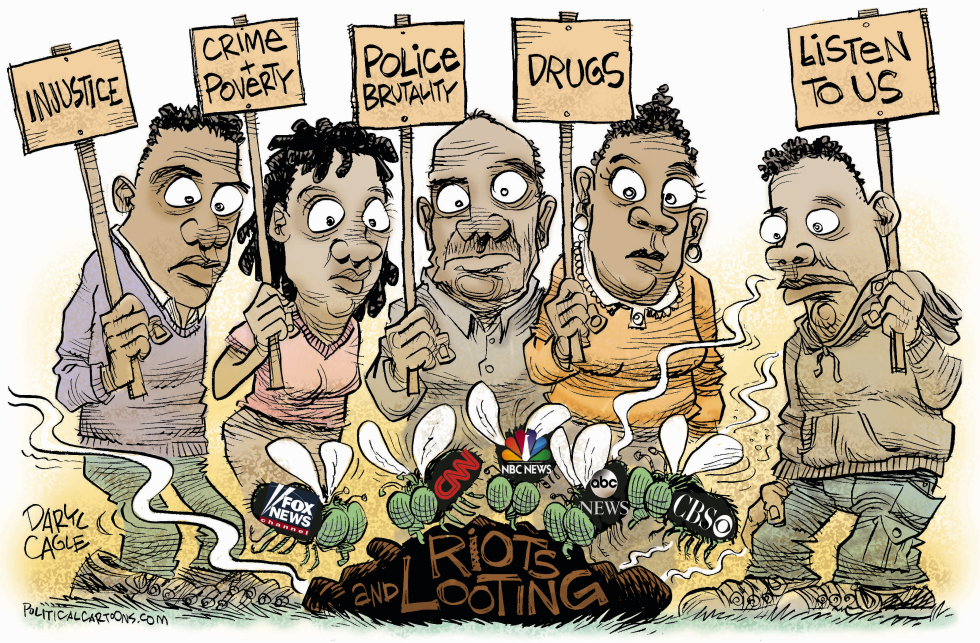 Baltimore Media Flies COLOR