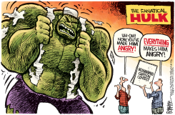 FANATICAL HULK  by Rick McKee