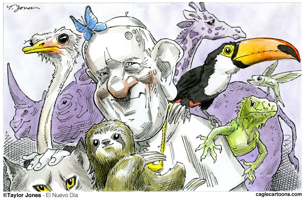 Pope Francis of Assisi - COLOR