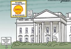SHILL by Steve Greenberg