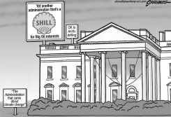 SHILL BW by Steve Greenberg