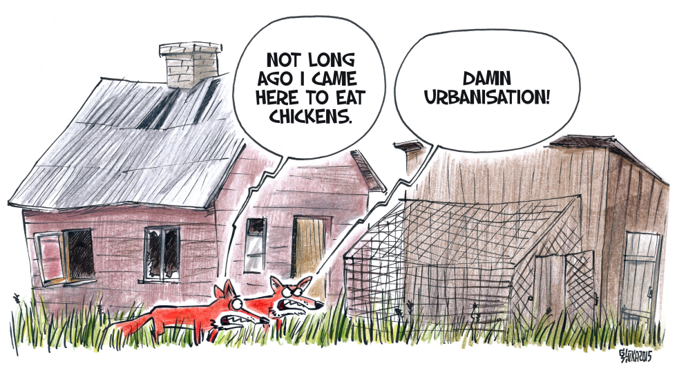 Urbanisation
