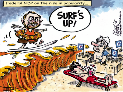 NDP WAVE by Steve Nease