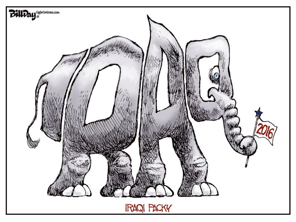 Elephant in the Room  color