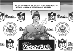 FEDERAL COURT RULING DEFLATES NSA PHONE DATA COLLECTION PROGRAM by R.J. Matson