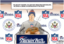 FEDERAL COURT RULING DEFLATES NSA PHONE DATA COLLECTION PROGRAM by R.J. Matson