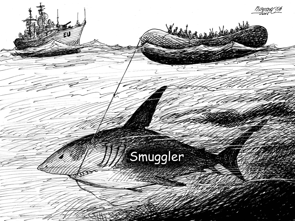 Shark