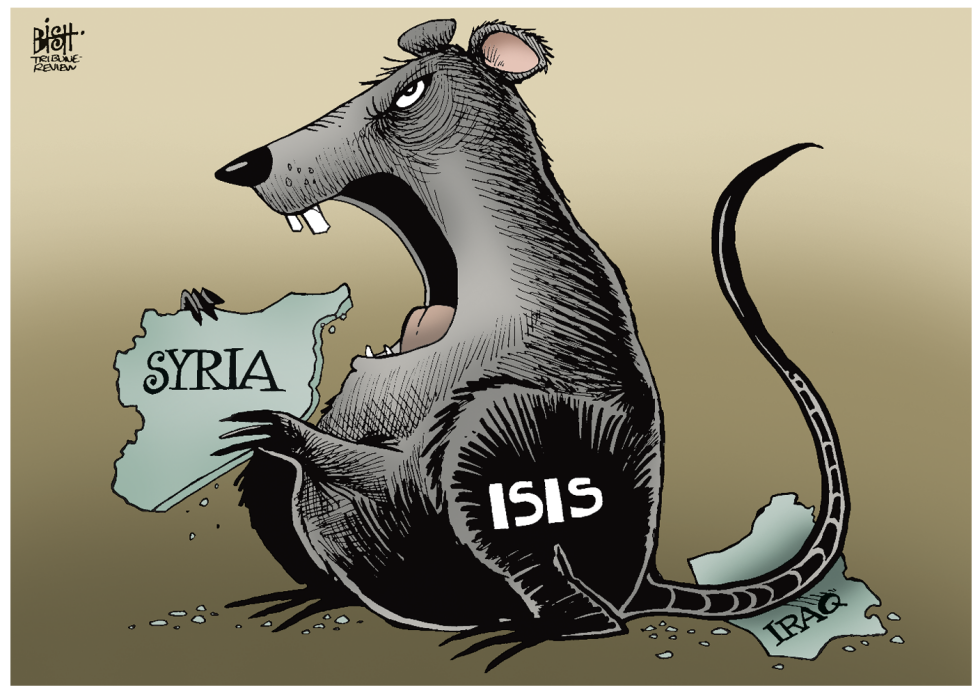 ISIS VERMIN, COLOR