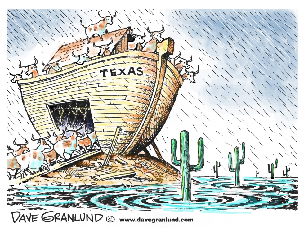  TEXAS FLOODING by Dave Granlund