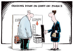 CRACKING DOWN ON CARRY ON by Ingrid Rice