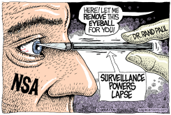 NSA SURVEILLANCE POWERS LAPSE  by Monte Wolverton