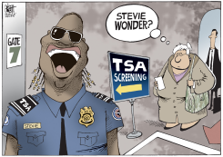 TSA AIRPORT SECURITY, by Randy Bish