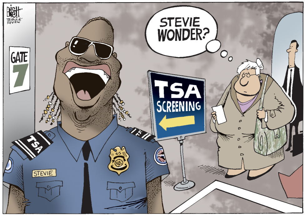 TSA AIRPORT SECURITY, COLOR