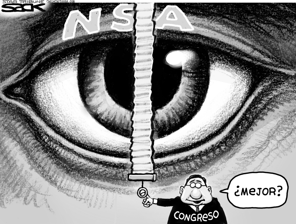  LIMITES A LA NSA by Steve Sack