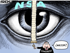 LIMITES A LA NSA / by Steve Sack