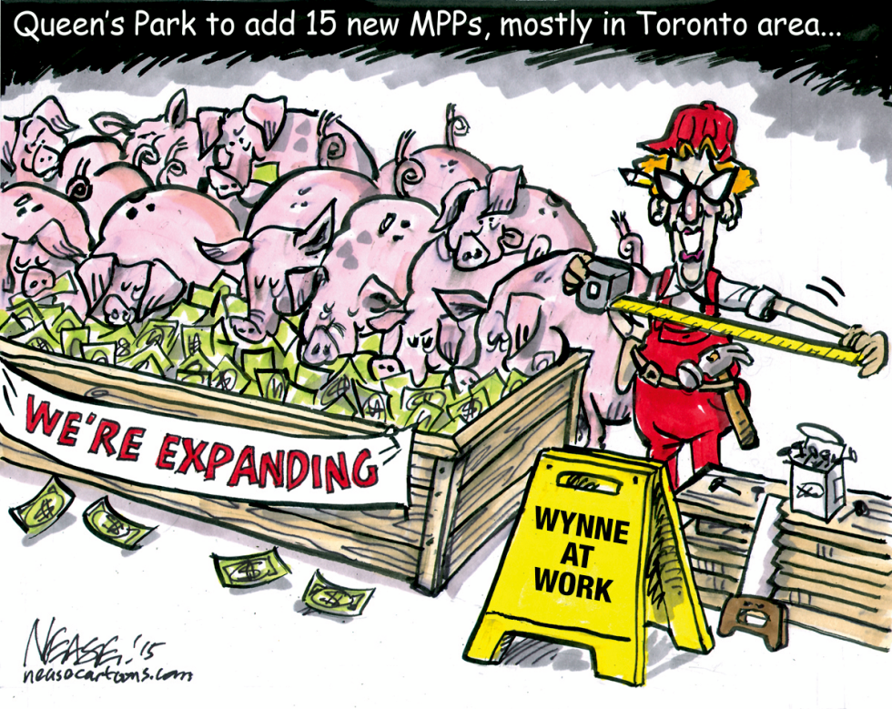 15 New MPPs