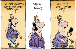 NSA UNDER CONTROL by Bruce Plante