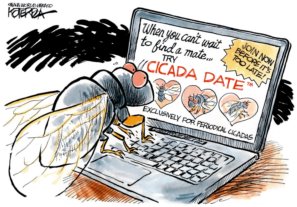  CICADA DATE by Jeff Koterba