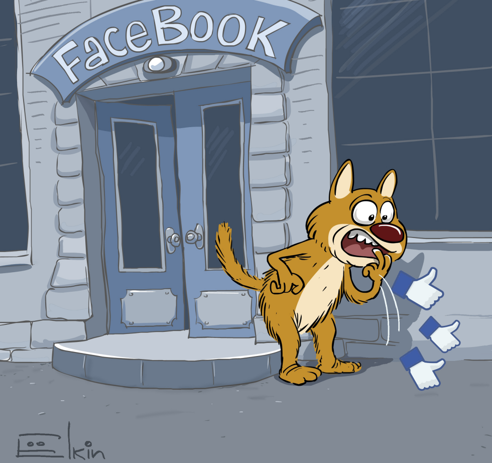  CAT AND FACEBOOK by Sergei Elkin