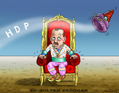 EX SULTAN ERDOGAN by Marian Kamensky