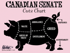 SENATE CHART by Steve Nease